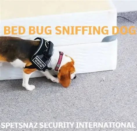  Security Patrol Dogs - Guard Dogs for Hire-Security Guard Dogs, Security Company-Dog Handler Security - Secure Site-Security Guard Dogs & Security Services -Security Dog Handlers London-Manchester Detection Dogs | Sniffer Dogs | Canine Search-Feedback Explosive Detection Dogs | Sniffer Dogs | Specialist Security-Search Dogs & Sniffer Dogs London-Narcotics Search Dogs & Explosive Search Dog in London