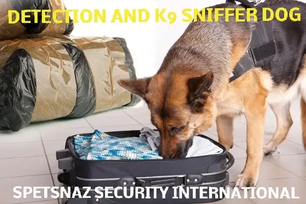  Security Patrol Dogs - Guard Dogs for Hire-Security Guard Dogs, Security Company-Dog Handler Security - Secure Site-Security Guard Dogs & Security Services -Security Dog Handlers London-Manchester Detection Dogs | Sniffer Dogs | Canine Search-Feedback Explosive Detection Dogs | Sniffer Dogs | Specialist Security-Search Dogs & Sniffer Dogs London-Narcotics Search Dogs & Explosive Search Dog in London